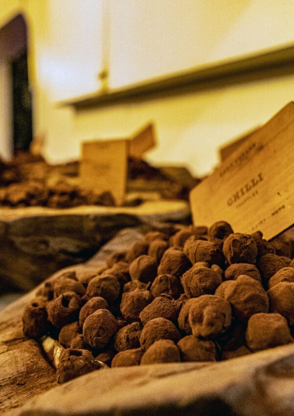 5 Favorite Cheap Eats in London