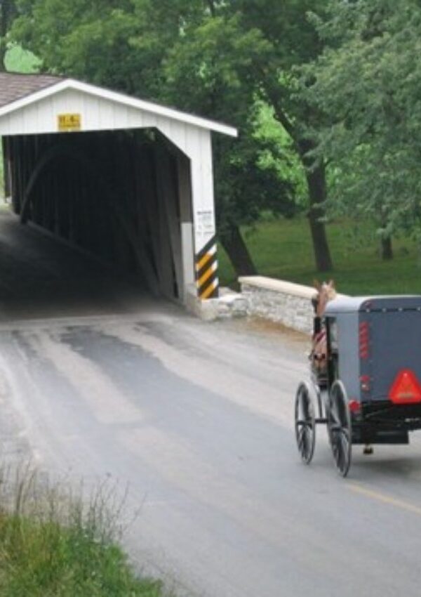 How to Get an International Driving Permit